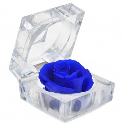 Boite Rose éternelle bleue