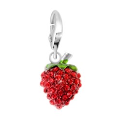 Erdbeer-Charme BR01